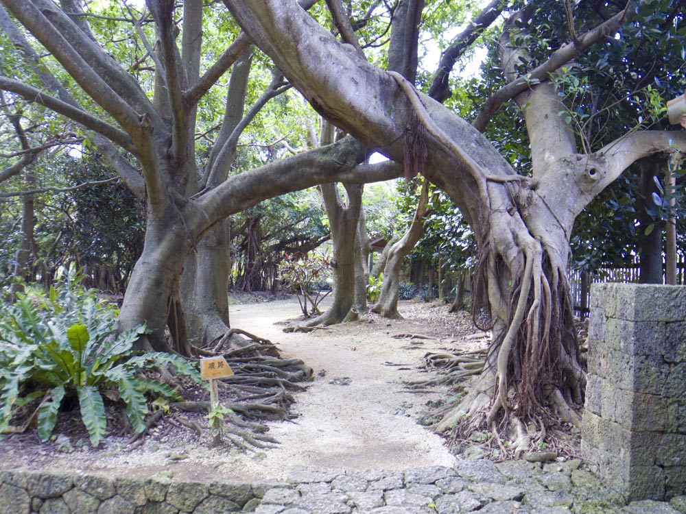 識名園は写真好きにおすすめ