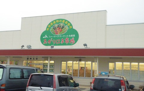 沖縄のファーマーズで野菜を買う