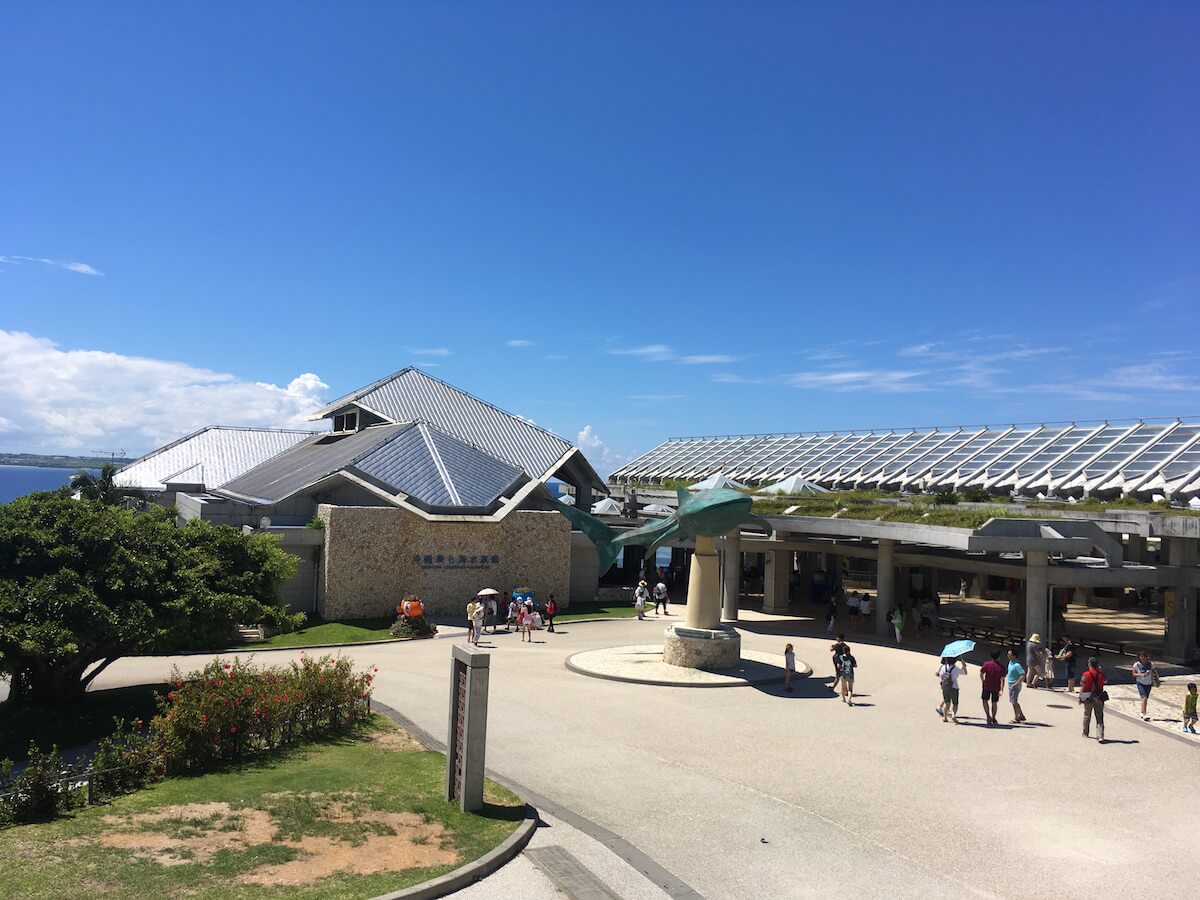 美ら海水族館