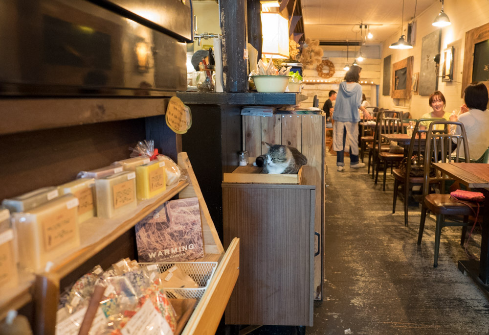 オシャレなカフェ