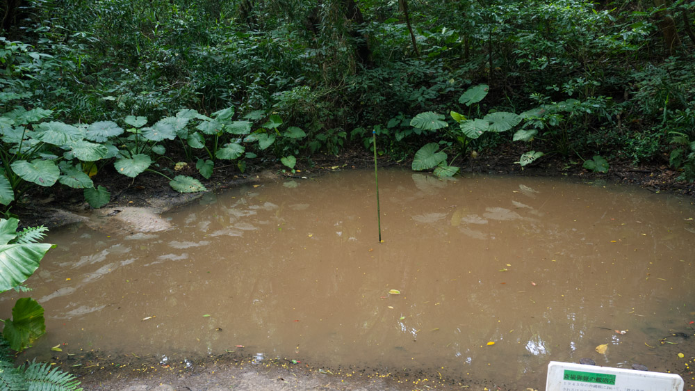 砲弾によってできた池