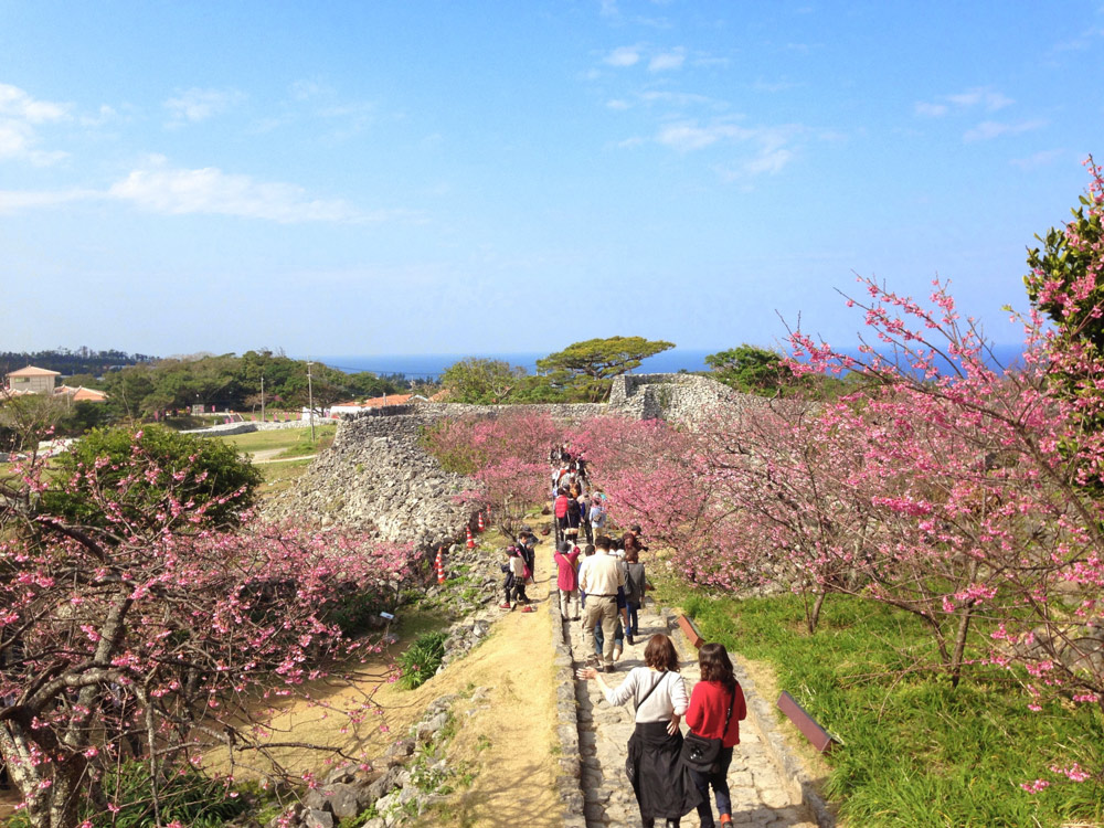 帰り道は海