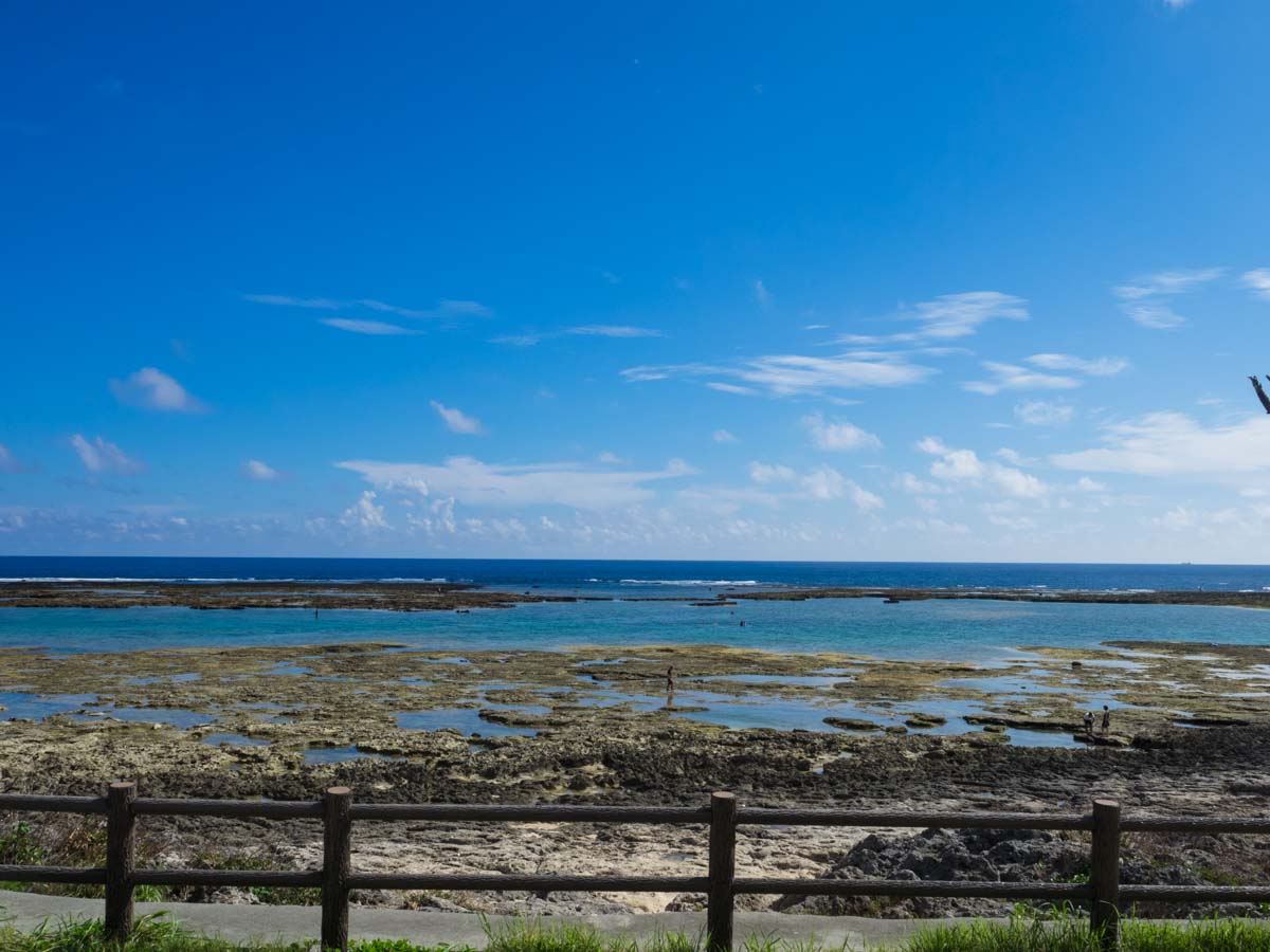 大度浜海岸のタイドプール