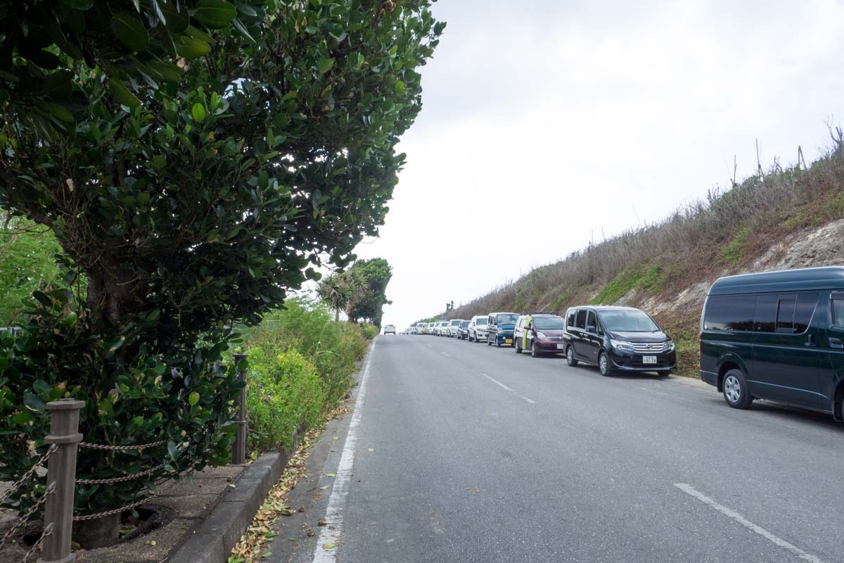 みんな海岸脇に駐車