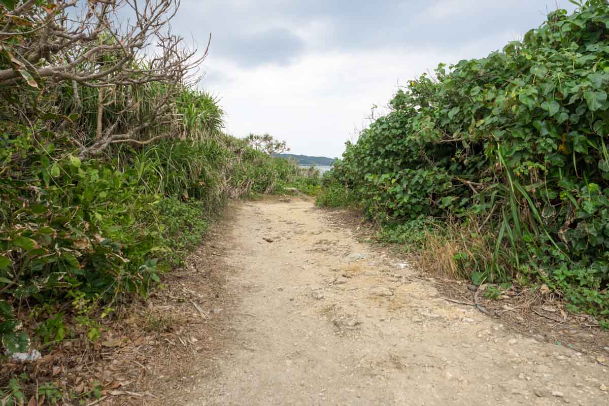 海岸へ下っていく