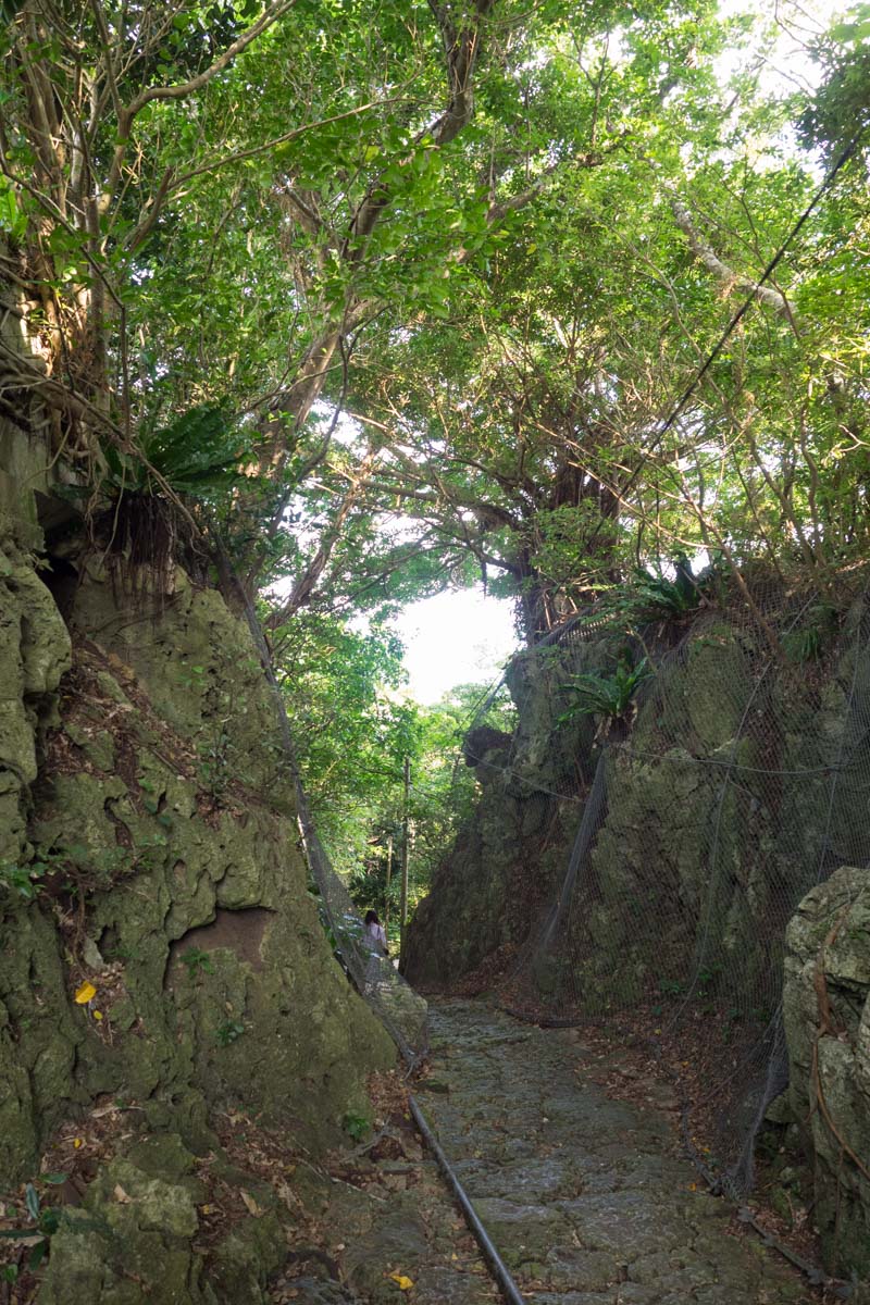 垣花樋川へは急な坂を下っていく