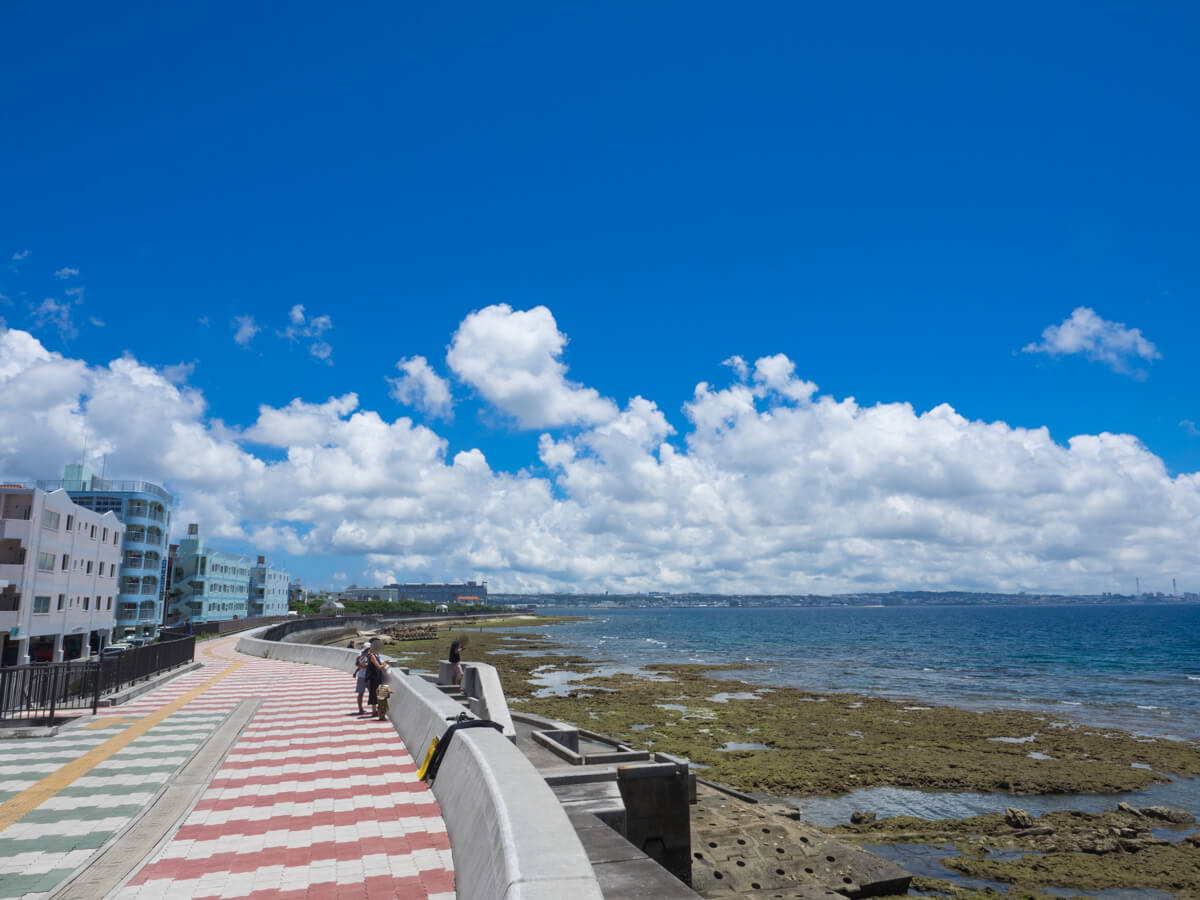 晴れた日の宮城海岸