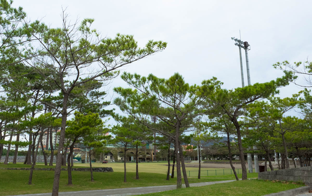 21世紀の森公園の施設内