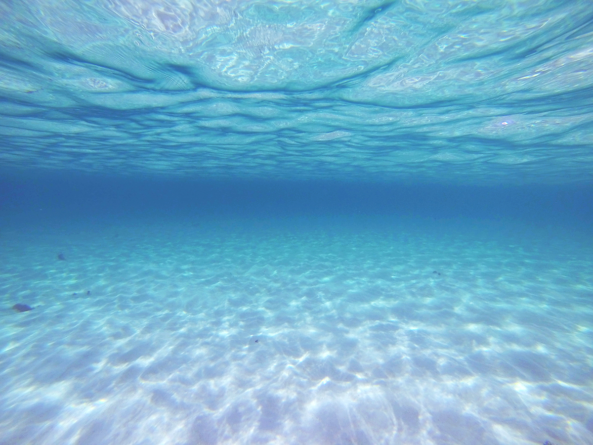 海の透明度がすごい