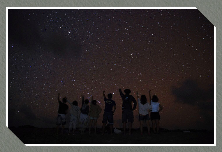 美波の南十字星ツアー