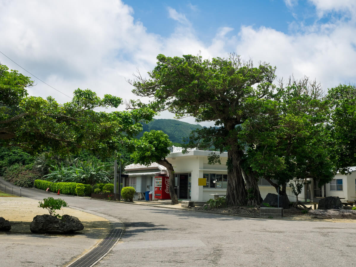 売店もある