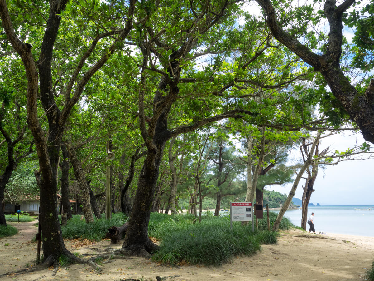 底地ビーチの公園