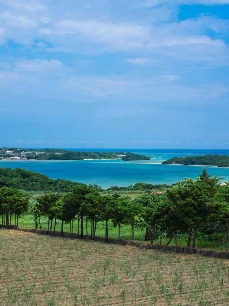 きれいな川平湾