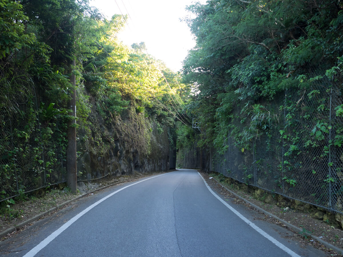 ワイトゥイの道路