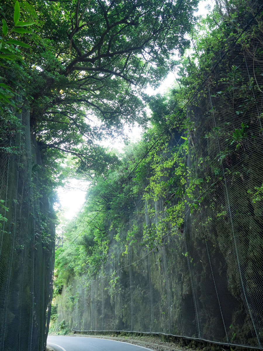 ワイトゥイの風景