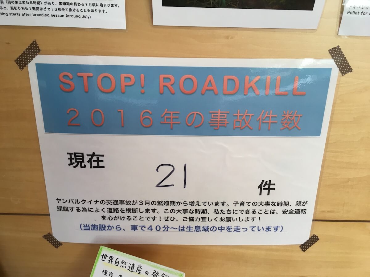 STOP ROADKILL