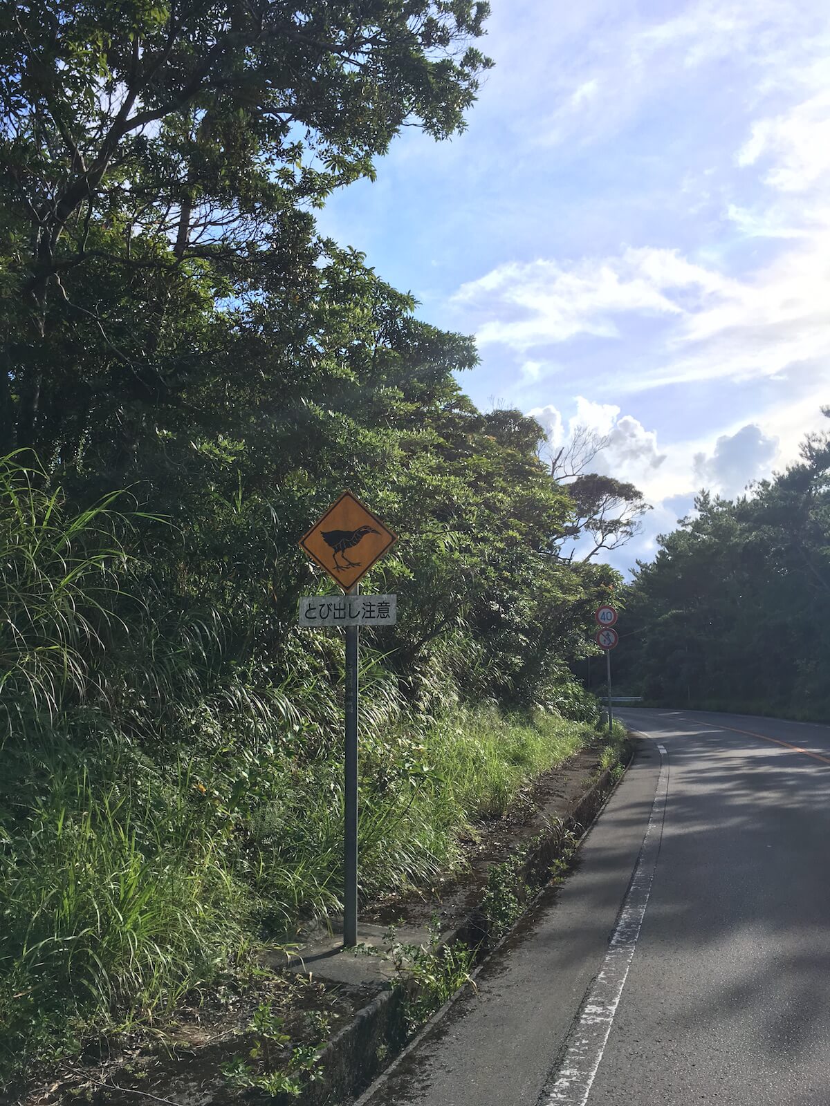 ヤンバルクイナ飛び出し注意看板