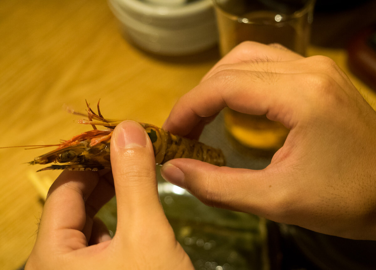 生きている車海老を食べる