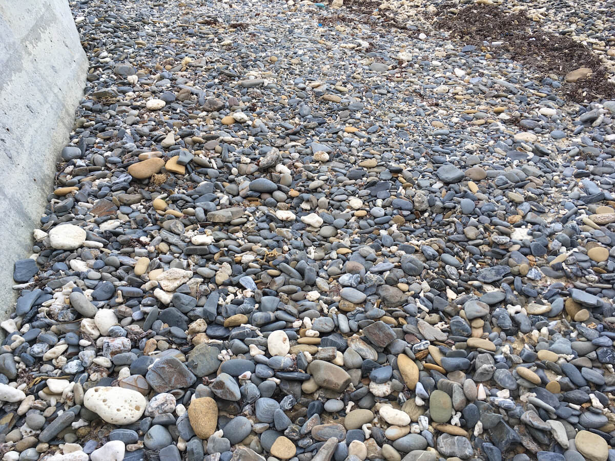 海岸は丸石が多い