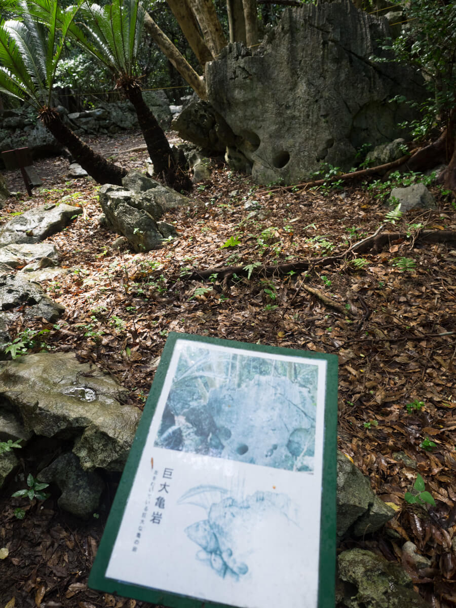 大石林山の岩