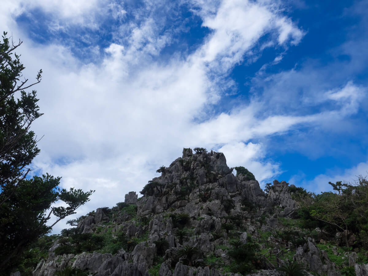 大石林山