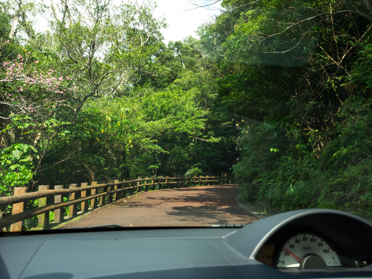 名護城公園を車で進む