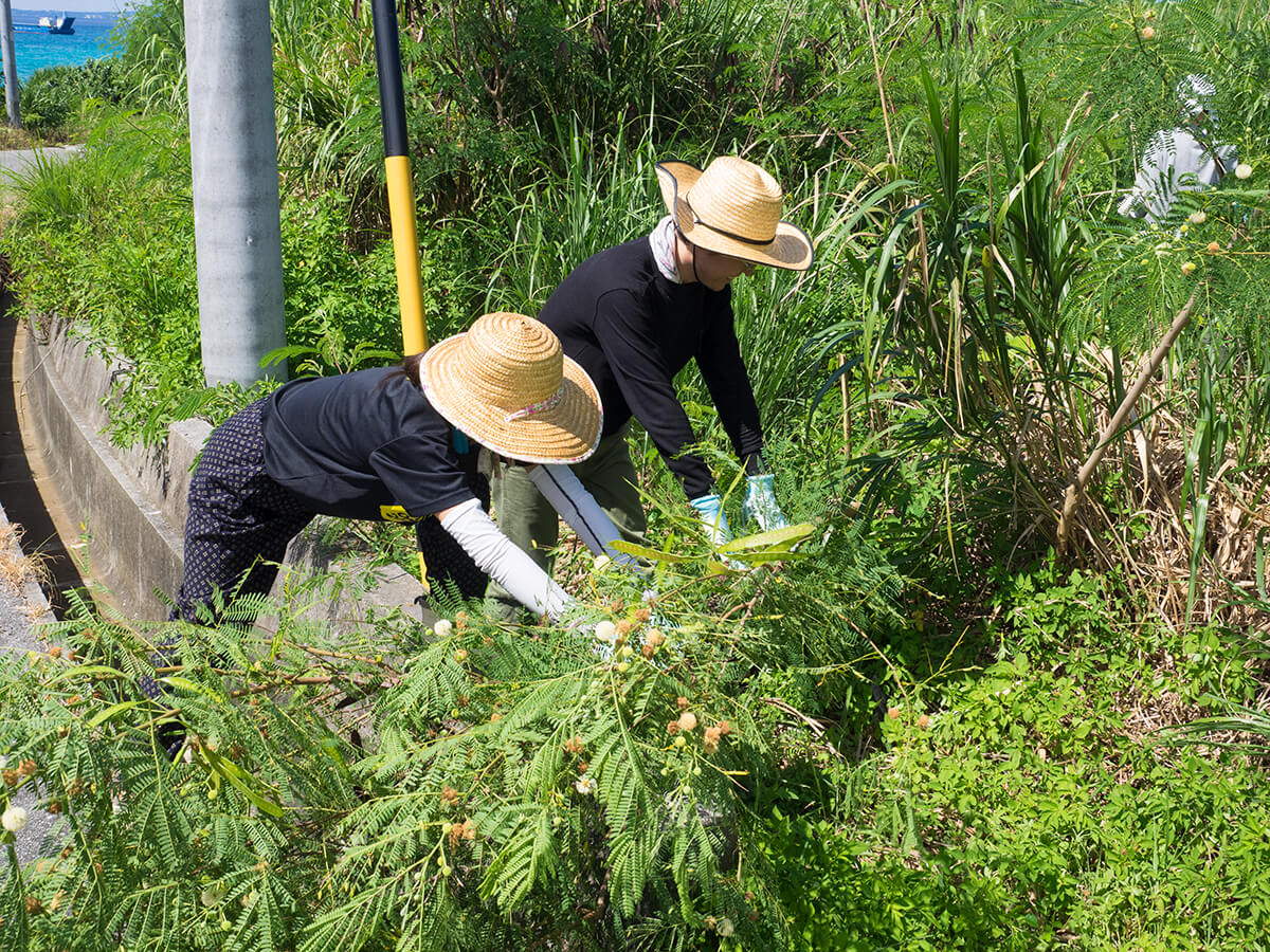 強すぎる沖縄の雑草にリベンジ。大人5人で再び、草刈りに挑んできました！ 沖縄移住ライフハック