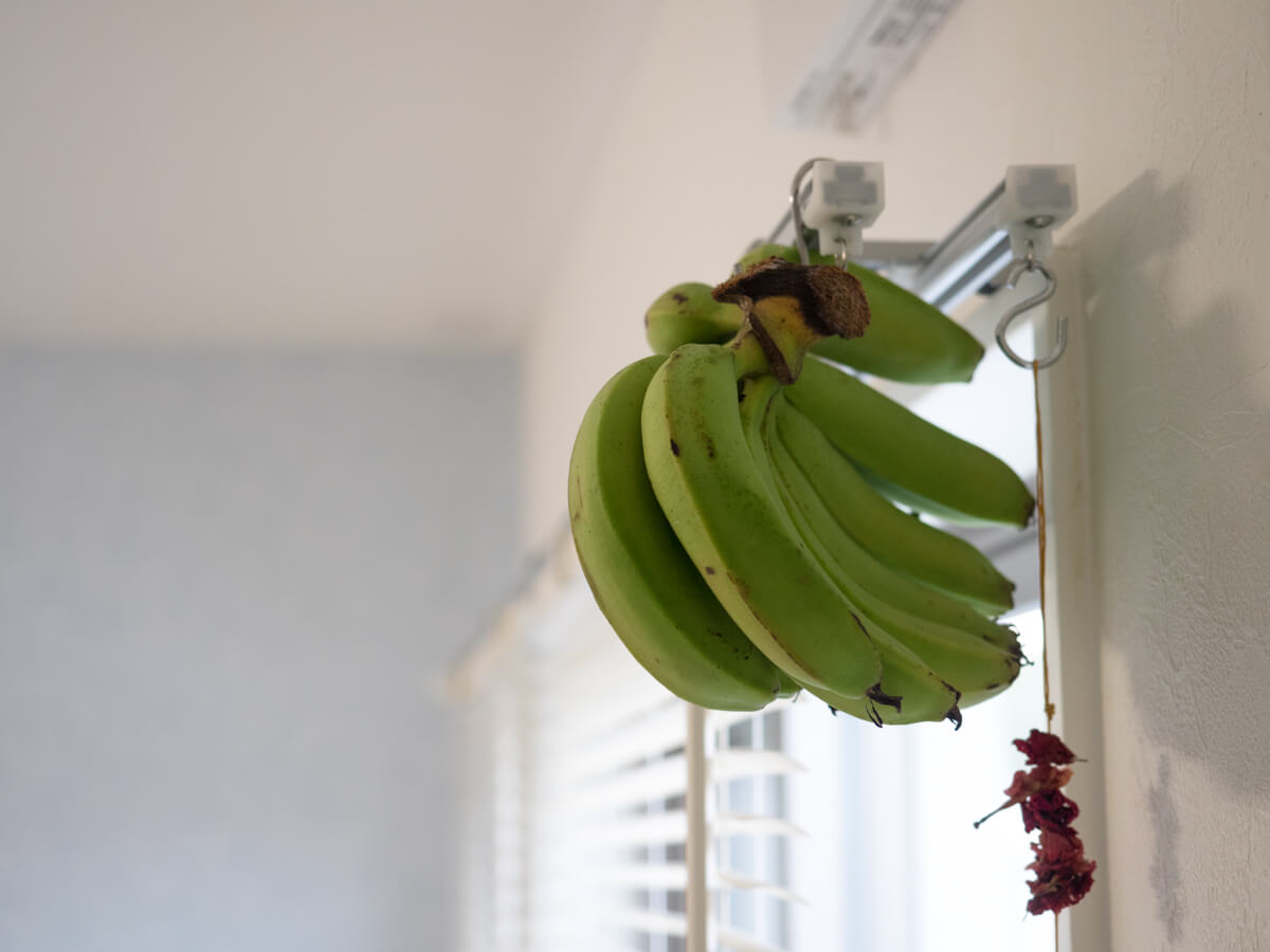 窓際のバナナ