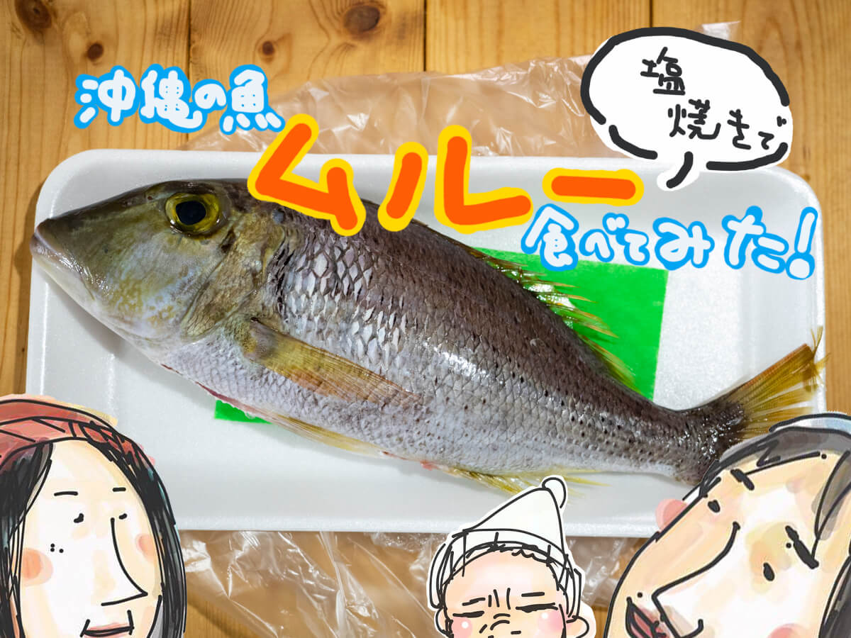 沖縄の魚 ムルー マトフエフキ 食べ方は塩焼きで 沖縄移住ライフハック