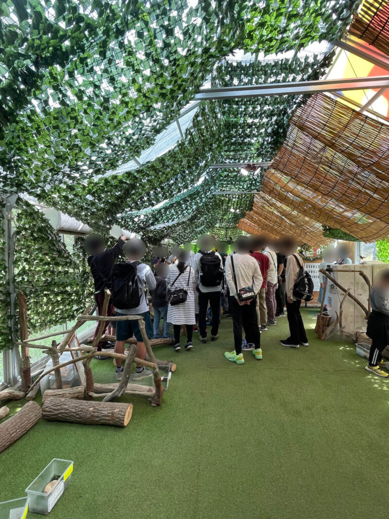 カブトムシ・クワガタムシの生態展示場