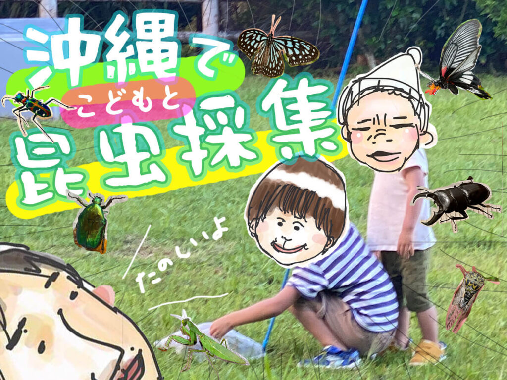 沖縄で子どもと昆虫採集