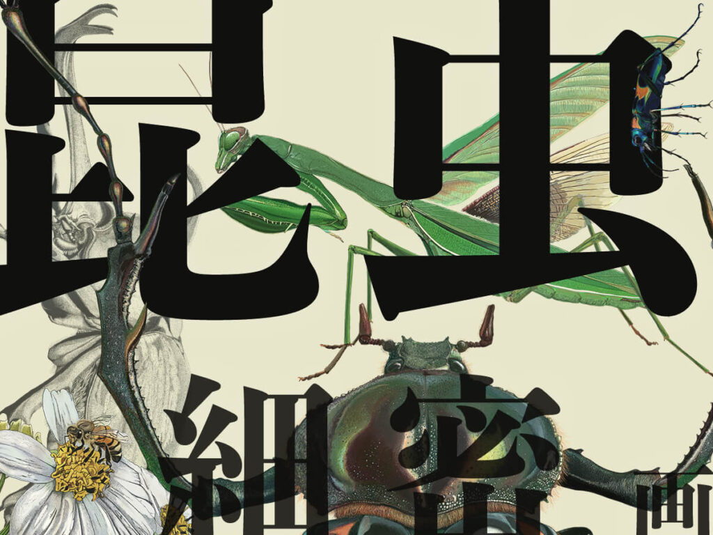 みなみのひげの昆虫細密画