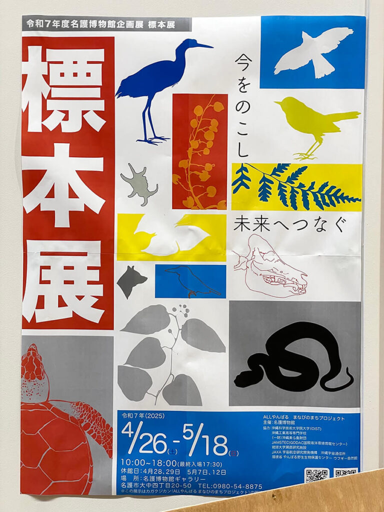 標本展ポスター