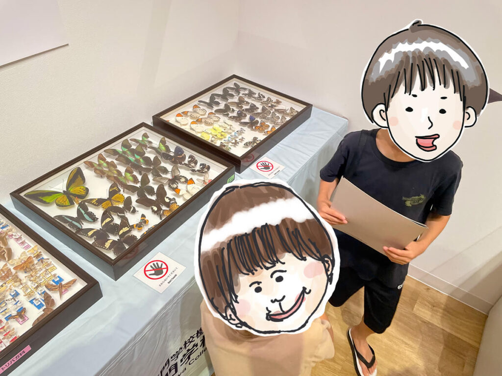 標本をみる息子ら