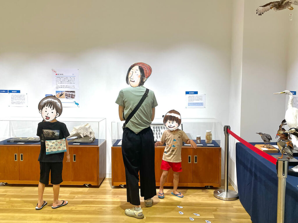 標本展をみる