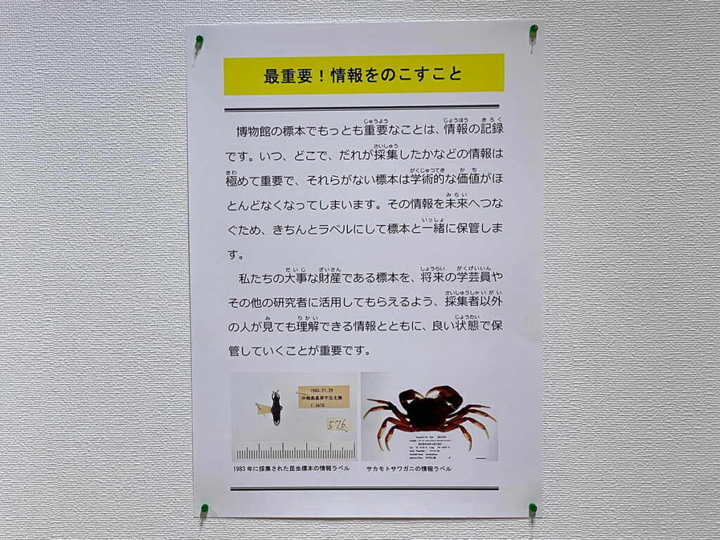 標本は情報