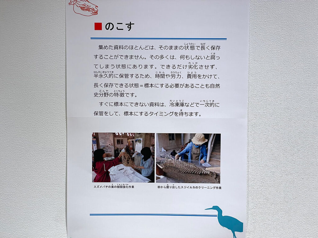 標本の役割