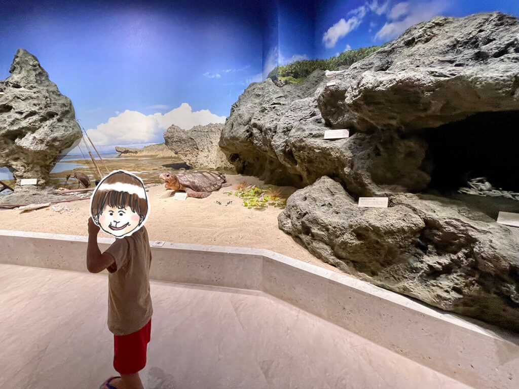 沖縄らしい海岸の環境