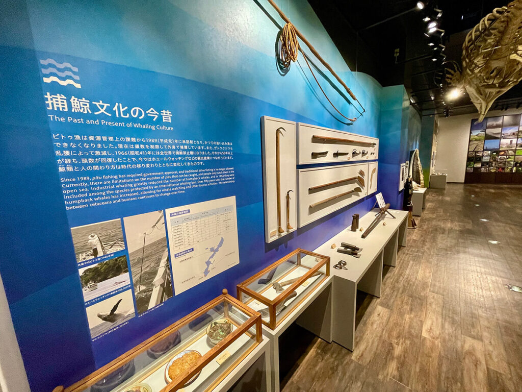 捕鯨文化の今昔