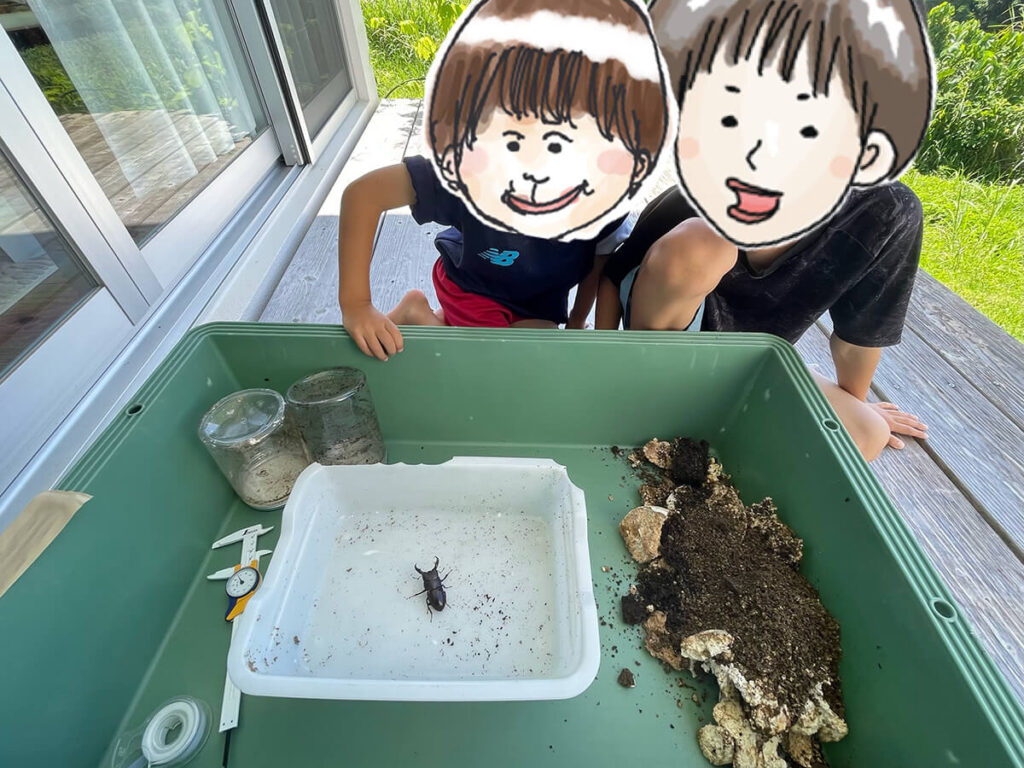クワガタを喜ぶ子供たち