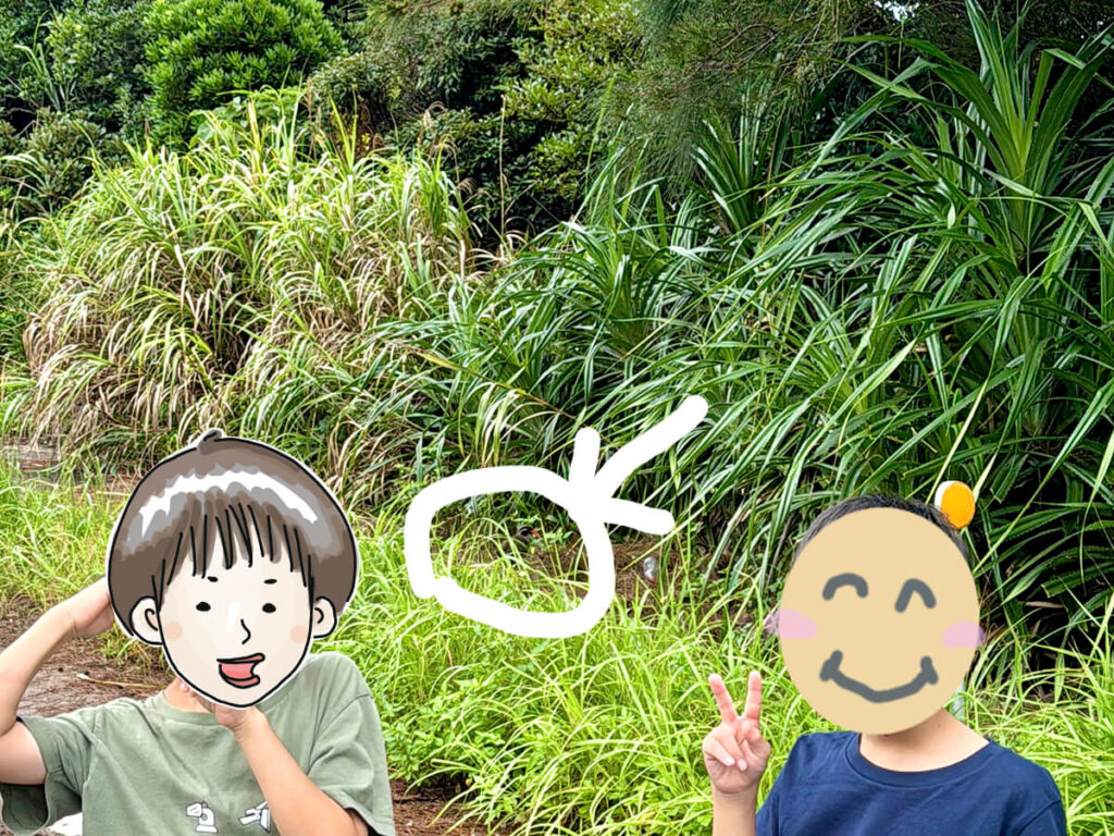 ヤンバルクイナと記念写真