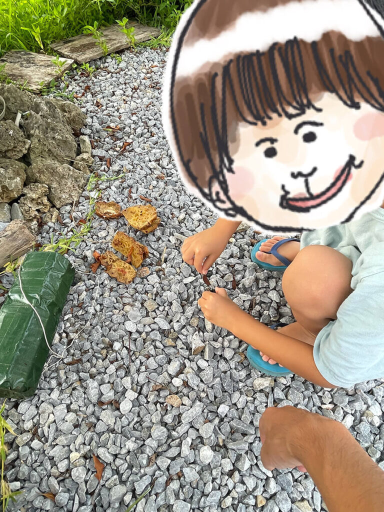 クワガタ好きの次男