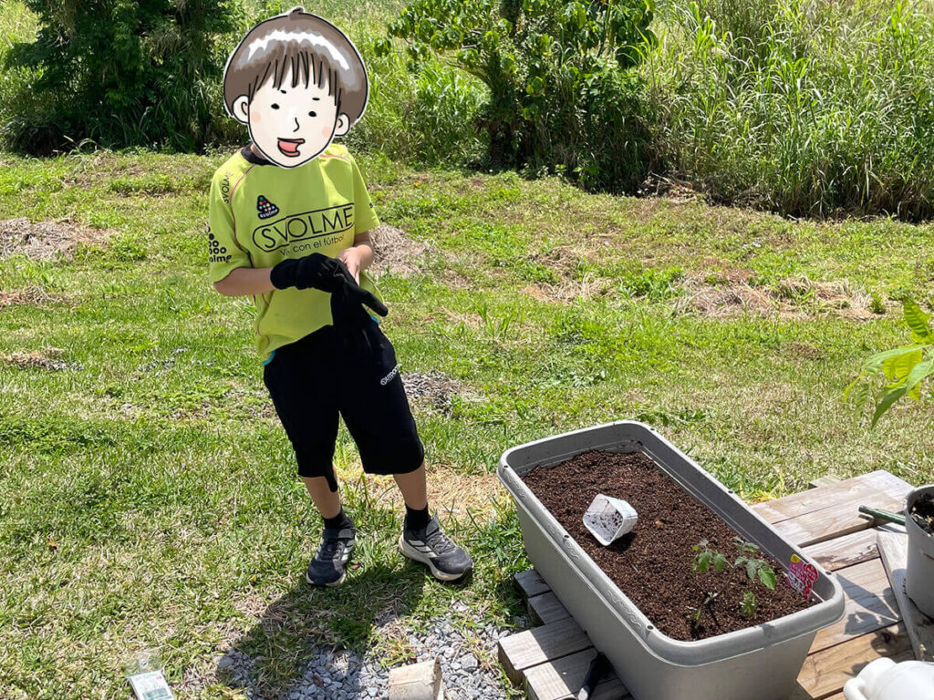 ミニトマトを植える