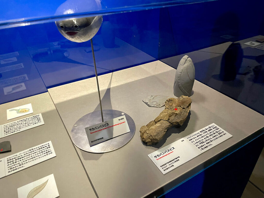 サカバンバスピス