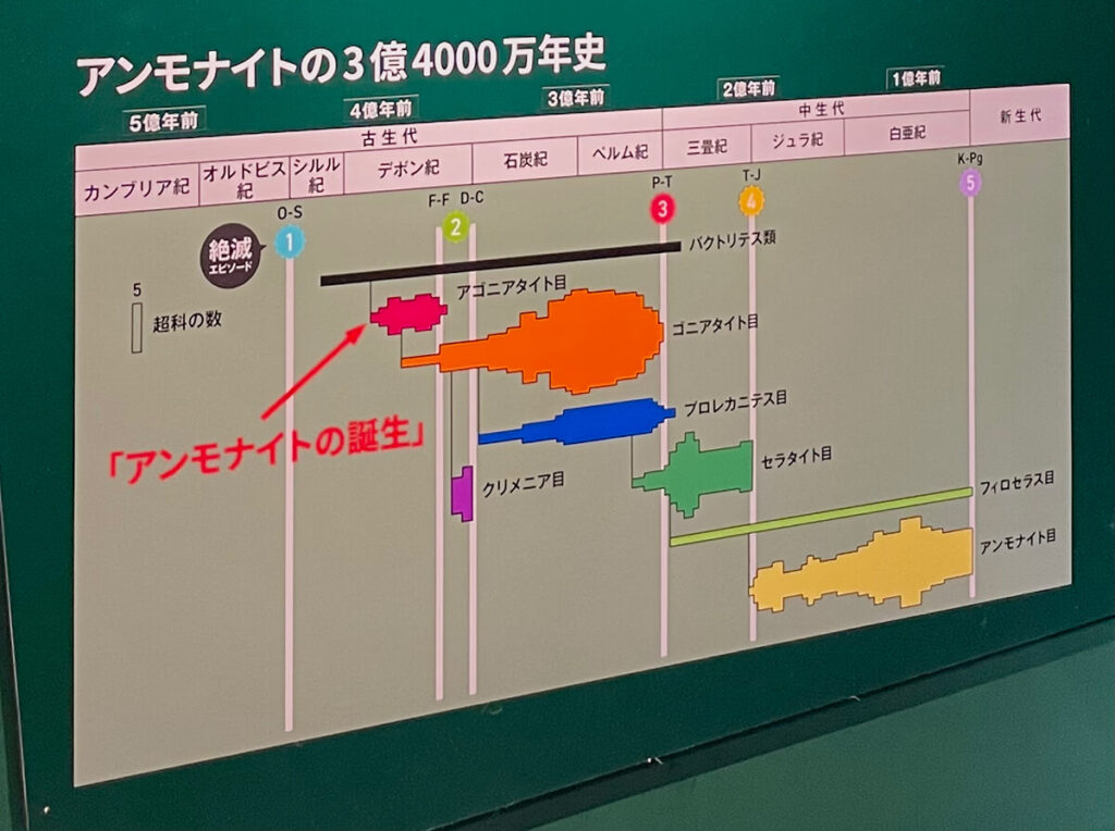 アンモナイトの繁栄