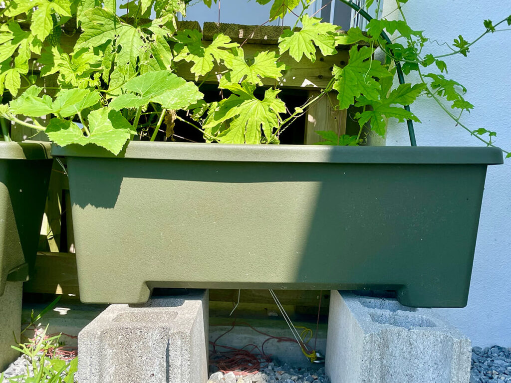 ゴーヤープランター