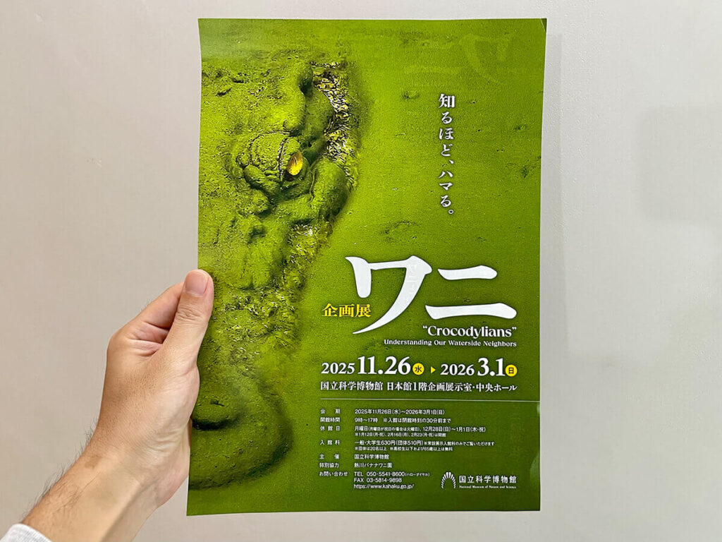 ワニ展フライヤー
