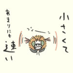 あまりに速い