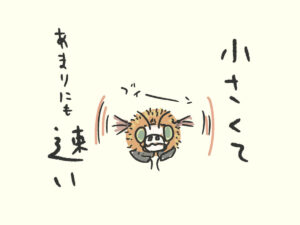 あまりに速い