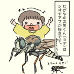 シオヤアブ・アオメアブが大好き